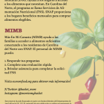 Pancartas de Sobremesa MIMB – Español